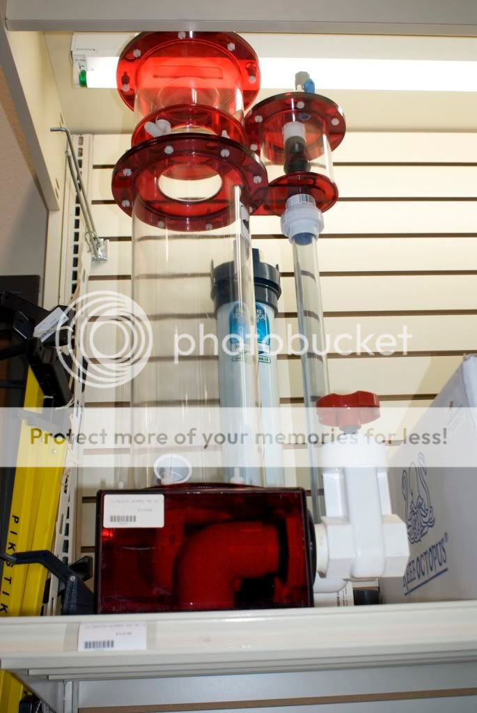 A Photo tour of DFW fish stores! Gallery PNWMAS